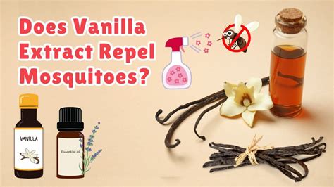 Will Vanilla Keep Mosquitoes Away