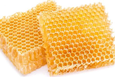 Will Vegetarians Eat Beeswax