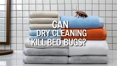 Will Washing Blankets Kill Bed Bugs