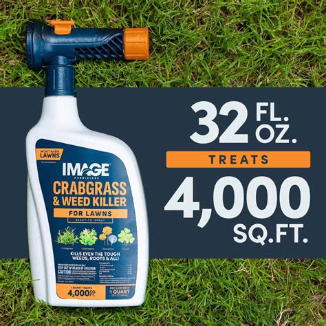 Will Weed Killer Kill Crab Grass