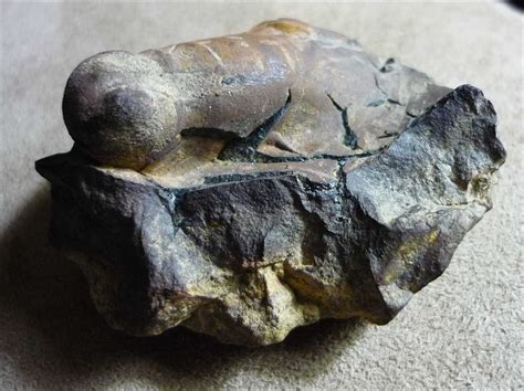 Will You Find Fossils In Igneous Rocks