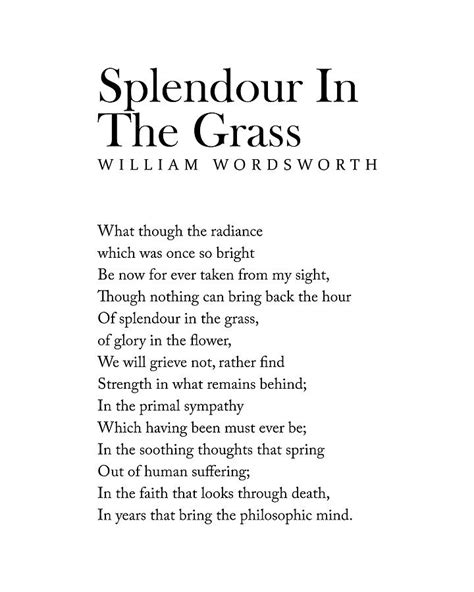 william wordsworth poem splendor grass