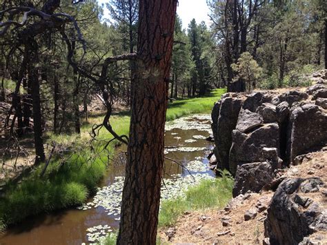 AZ's Bill Williams Hiking Trail Fun Small Town Hike