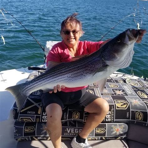 Willow Beach Fish Report