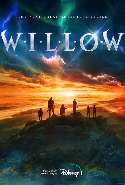 willow in the history