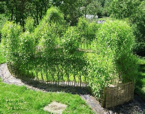 Willow Outdoor Classroom