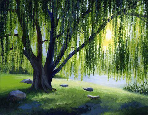Weeping Willow Paint Night Willow tree art, Nature paintings, Tree art