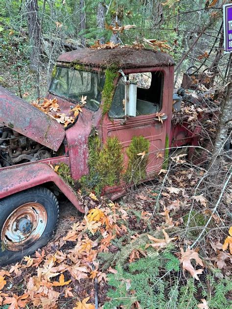 Willys Well Drilling