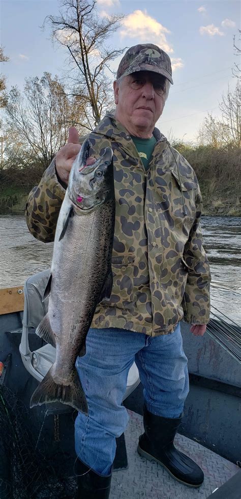 Wilson River Fishing Report