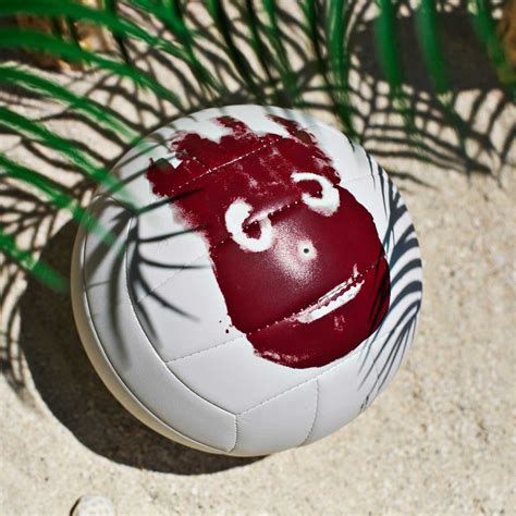 Wilson Volleyball Buy Castaway