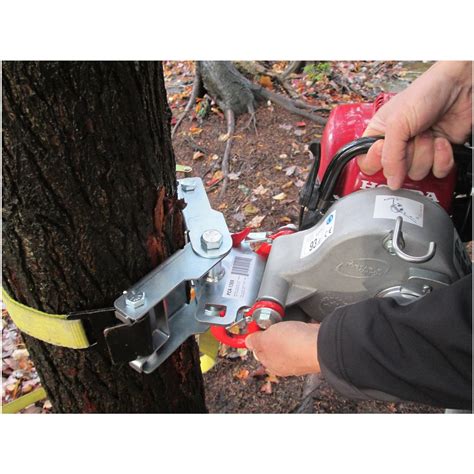 Winch Tree Work