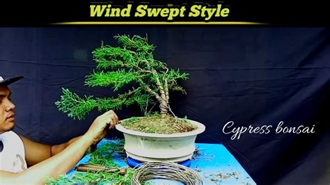 Wind Swept Bonsai: A Guide To Creating A Captivating Natural Art Form