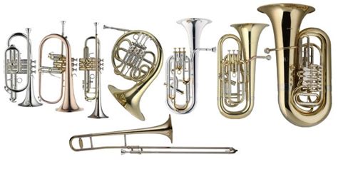 Wind Brass Instruments Shop