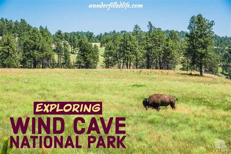 wind cave np camping