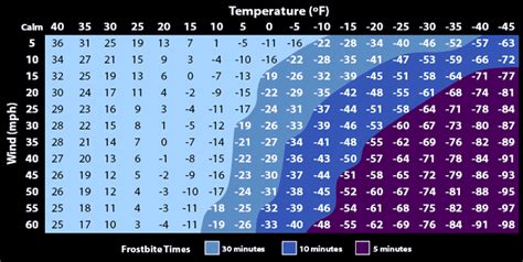 Wind Chill Calculator Celsius