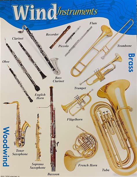 Wind Instruments For Beginners