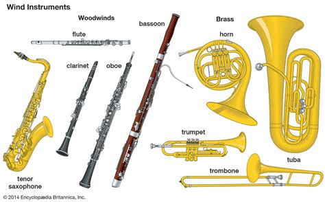 Wind Instruments In Band