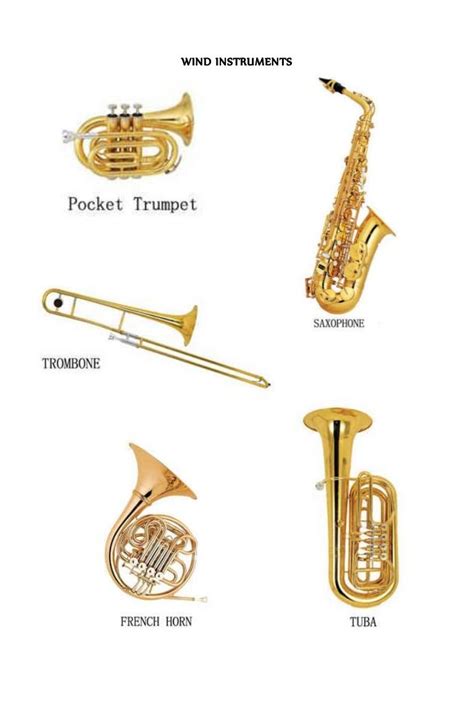 Wind Instruments Synonym