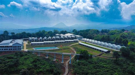 Wind On The Hill Latest