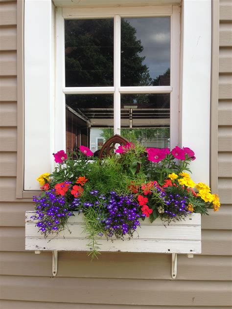 Posy Window box plants, Window planter boxes, Window planters
