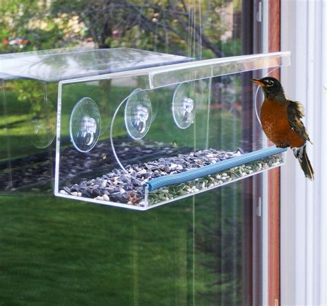 window mounted bird feeder uk