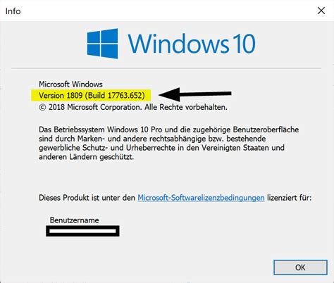 Windows Version Anzeigen