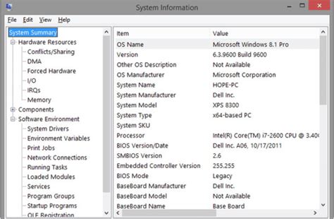 windows + r msinfo32