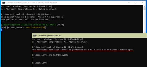 windows - The requested operation cannot be performed on a file 