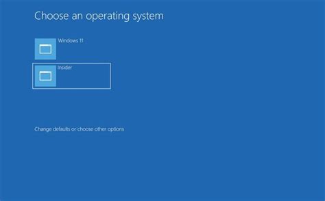 windows 10 and 11 dual boot iso download