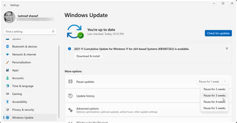 Windows 11 Disable Automatic Updates