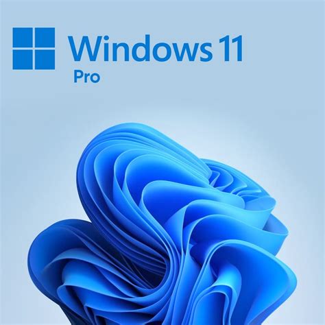 windows 11 pro professional download