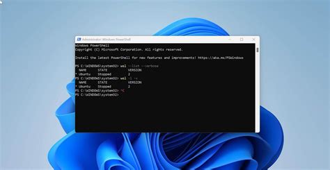 windows 11 wsl2 static ip