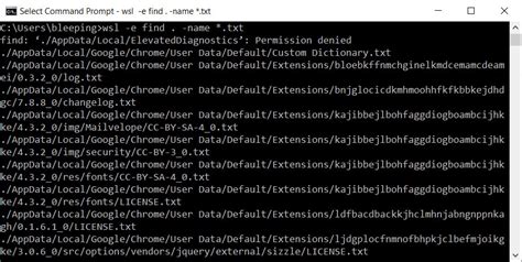 Windows Command Prompt In Linux