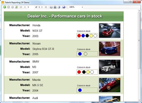 Windows Forms Report Viewer