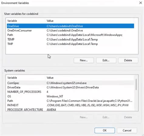 Windows Set Environment Variable On Command Line