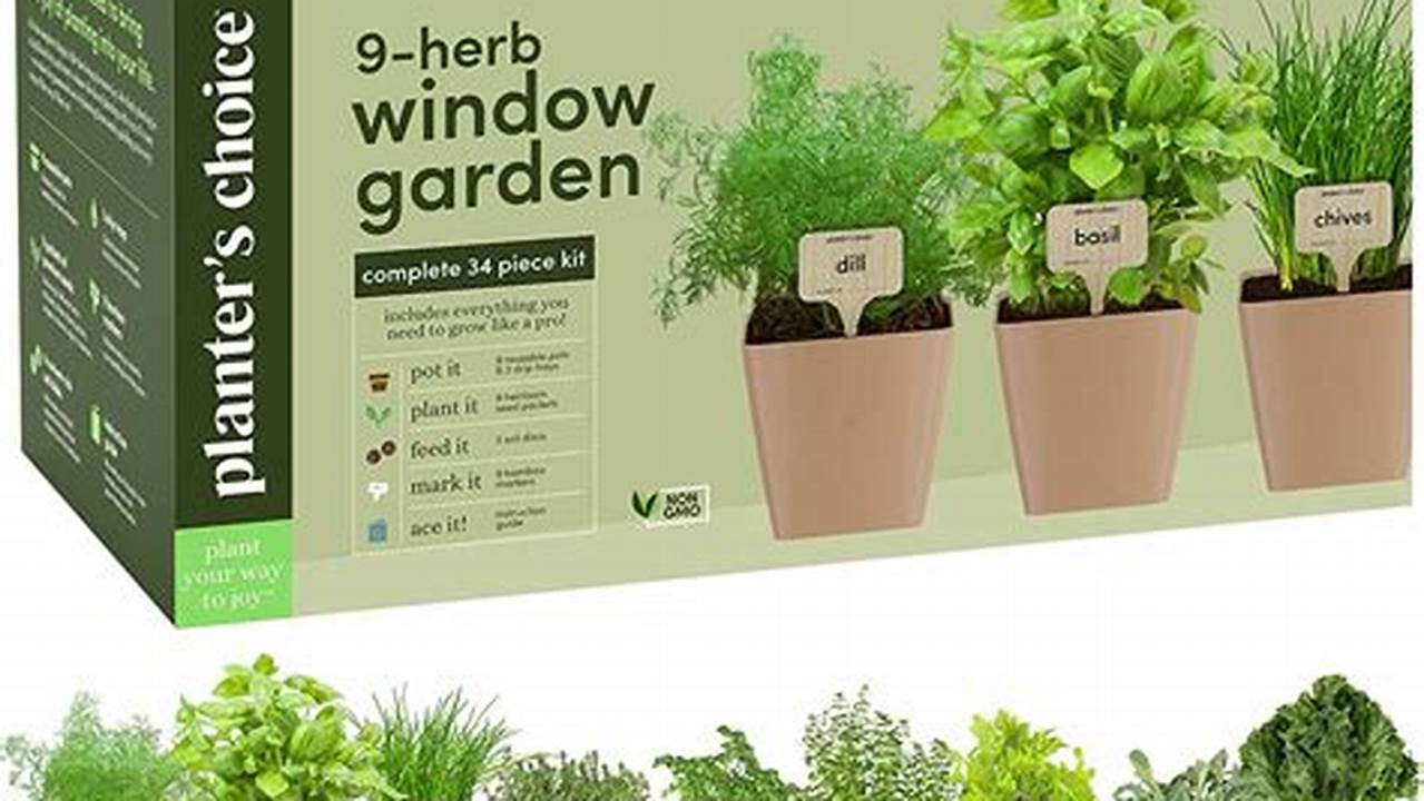 Discover the Secrets of a Thriving Windowsill Herb Garden