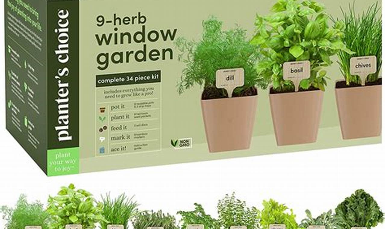 Discover the Secrets of a Thriving Windowsill Herb Garden