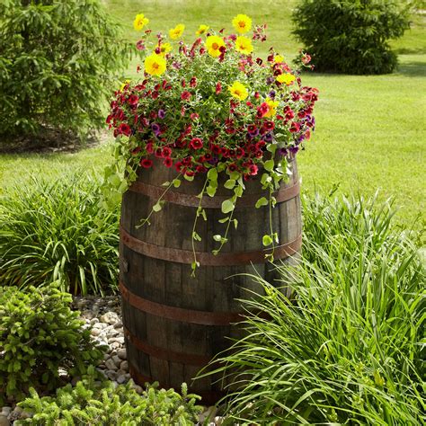 Wine Barrels For Plants: A Unique And Stylish Choice For Your Garden