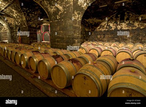 wine cellar aging