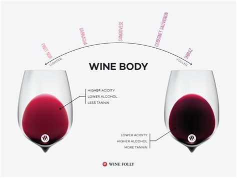 Wine Folly Body Chart