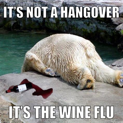 Wine Hangover Meme