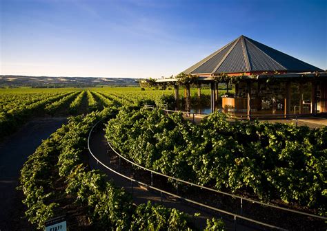 Wine Spots South Australia Shiraz Wines from Australia