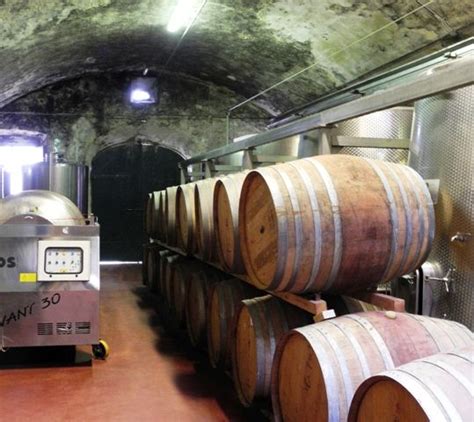 Close-up of a winemaker pressing grapes in a traditional Italian wine press, showcasing the historical methods of wine production.