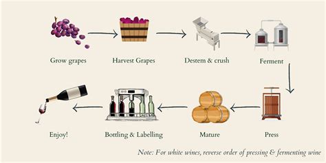 Wine Making Usa