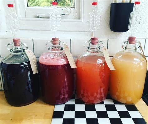 Wine Making With Fruit