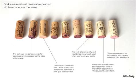 Wine Stopper Vs Cork
