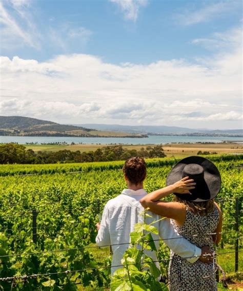 wine tours in hobart