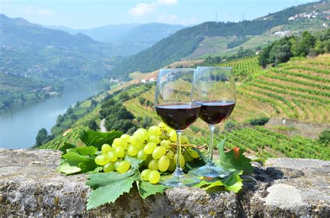 wine travel in portugal