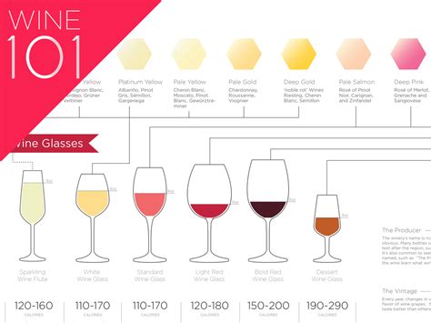 Wine Understanding Taste