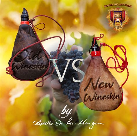 Wine Vs Wineskin